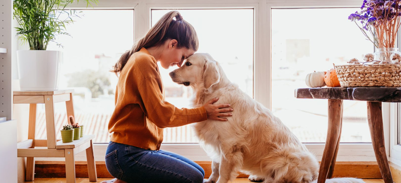 El 90% de quienes tienen mascotas dice comprender sus necesidades y emociones