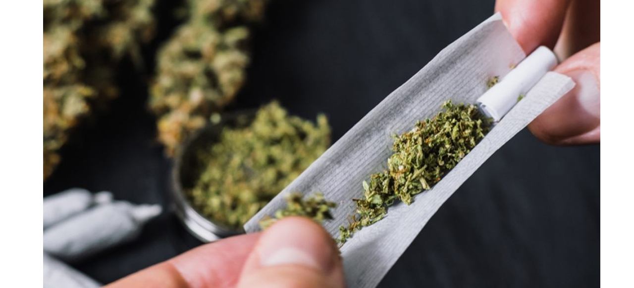 47% está a de acuerdo con legalizar el consumo de marihuana recreativa para mayores de 18 años